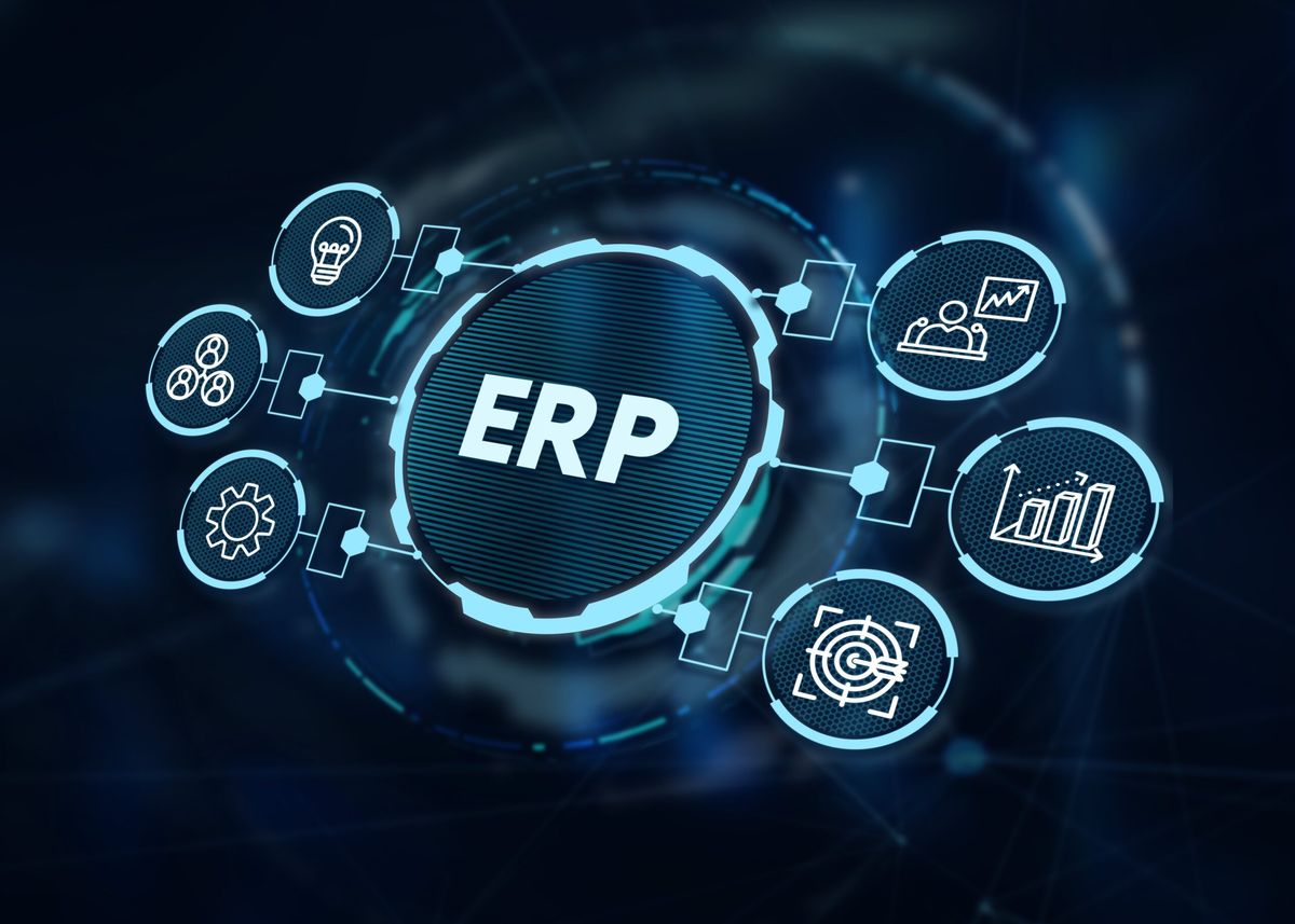 erp system egypt